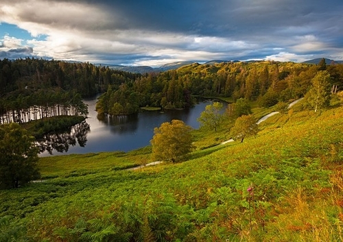 [align=center][size=11][b]Tarn Hows, Lake District[/b][/size]

Taken in August 2020, I hadn't heard much about Tarn…