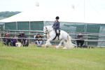 SBM_17187