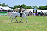 SBM_17412