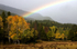 Gold at the Rainbow's end