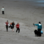 Dogs and Boys