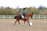 SBM_002330