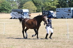 WJ6_8626