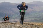 Coledale-955