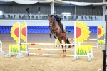 SBM_000535