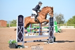 Cls 13 Snr Foxhunter portfolio