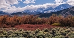Sierra Crest