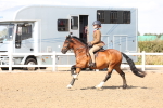 SBM_07352