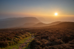 Southern Haze