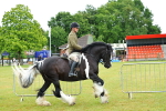 SBM_01170