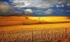 BurraStorm2-1367