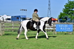 SBM_11367