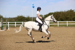 SBM_001504