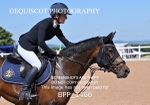BPP_1466
