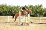 SBM_009385