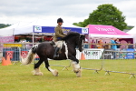 SBM_02610