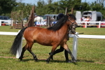 DSC05480