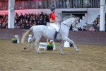 SBM_003324