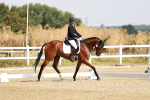 SBM_002445