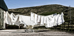 Wash Day