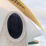 Fish Face, City of Arts and Sciences, Valencia