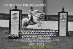BPP_7001