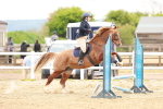 SBM_004204