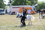 WJ6_7877