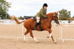 SBM_15629