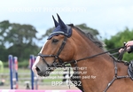 BPP_0582
