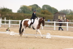 SBM_01669