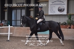 CLASS 3 Intermediate Working Hunter portfolio