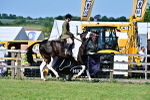 SBM_19546