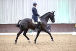 SBM_009309