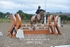 BPP_8742