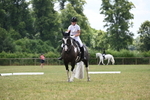 WJ6_6931
