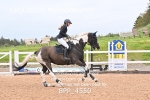 BPP_4550