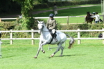 SBM_46894