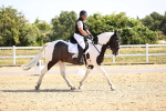 SBM_009245
