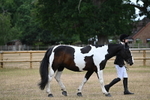WJ6_7829