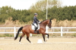 SBM_009565
