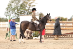 SBM_03610