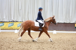 SBM_010316