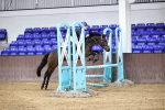 SBM_001404