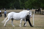 WJ6_6416