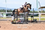 BPP_2084