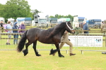 SBM_00486