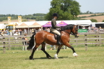 SBM_06901