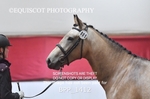 BPP_1412