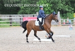BPP_0355